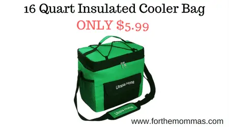 16 Quart Insulated Cooler Bag 