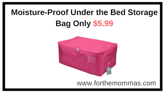 Moisture-Proof Under the Bed Storage Bag Only $5.99