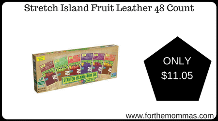 Stretch Island Fruit Leather 48 Count