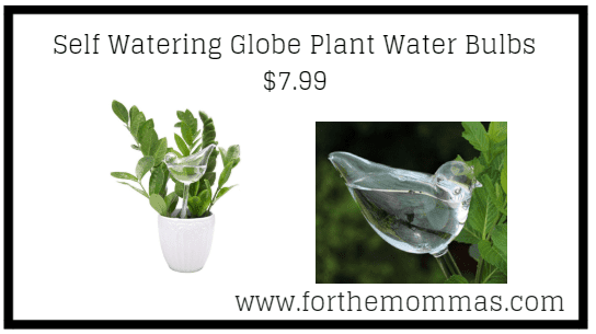 Self Watering Globe Plant Water Bulbs $7.99