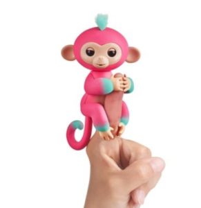 fingerlings large monkey