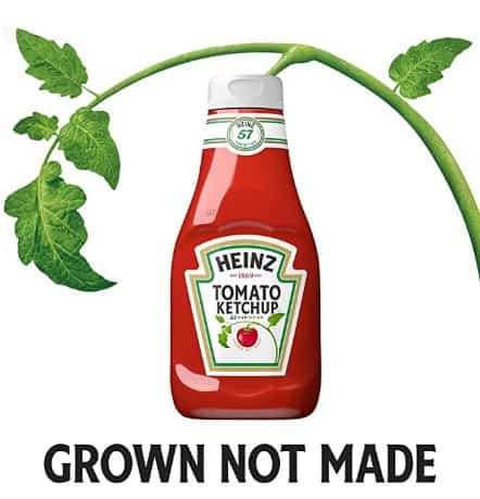 Heinz Tomato Ketchup (20oz Bottles, Pack of 6)
