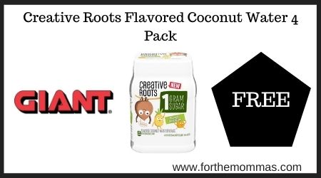 Giant: Creative Roots Flavored Coconut Water 4 Pack