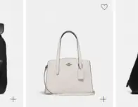 Coach Black Friday