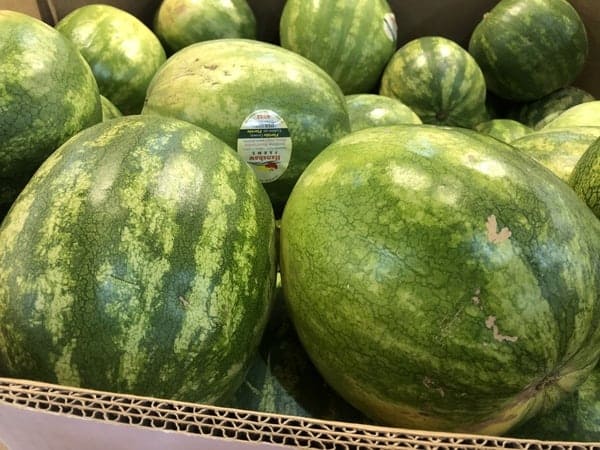 ShopRite: Whole Seedless Watermelon Just $3.99 