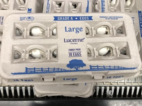 Acme: Lucerne Large Eggs 18 Ct Just $1.49