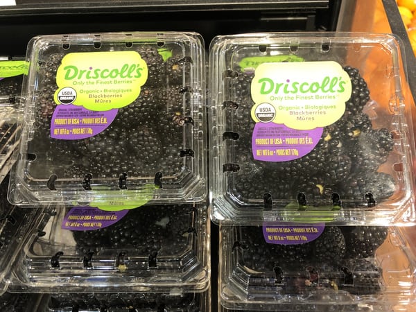 Sweet Blackberries