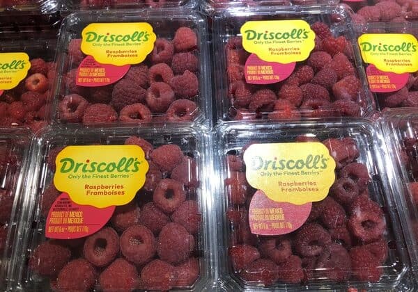 Giant: Fresh Sweet Raspberries JUST $0.97