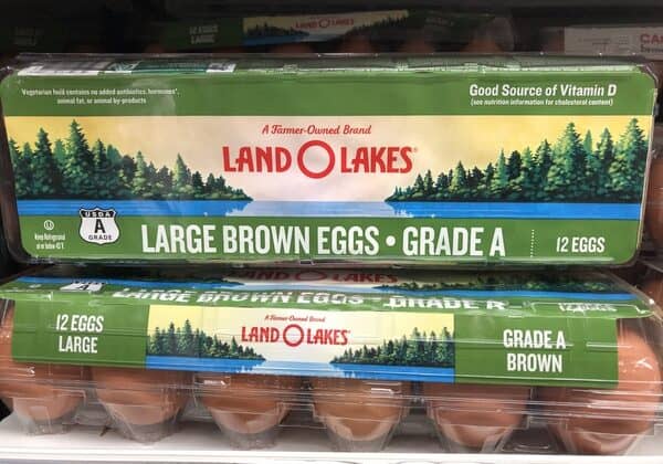 Giant: Land O Lakes Eggs ONLY $1.50 Each