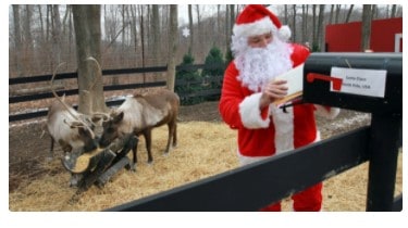Free 24/7 Live Feed of Santa's Reindeer