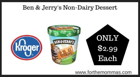 Ben & Jerry's Non-Dairy Dessert