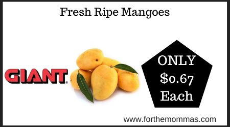 Fresh Ripe Mangoes