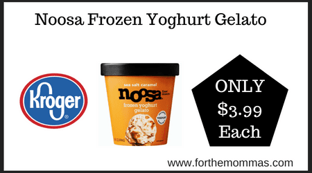 Noosa Frozen Yoghurt Gelato