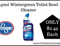 Lysol Wintergreen Toilet Bowl Cleaner
