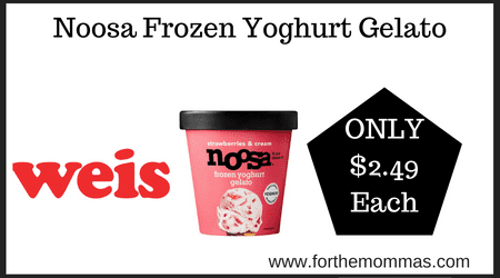 Noosa Frozen Yoghurt Gelato