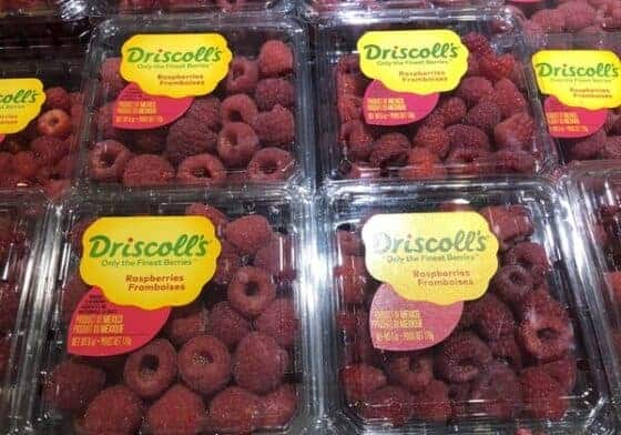 Sweet Raspberries JUST $1.99 Each at ShopRite