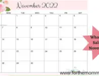 What’s On Sale In November?