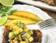 CajunSnapper_vertical3