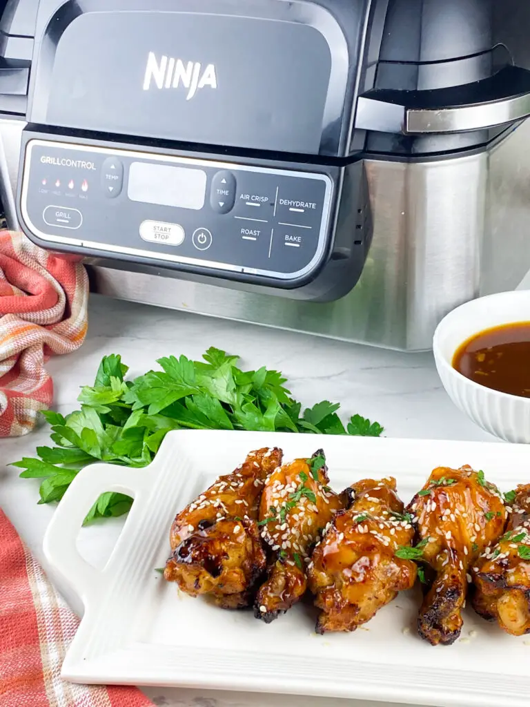 Air Fryer GlutenFree Teriyaki Chicken Wings