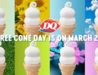 Free-cone-day