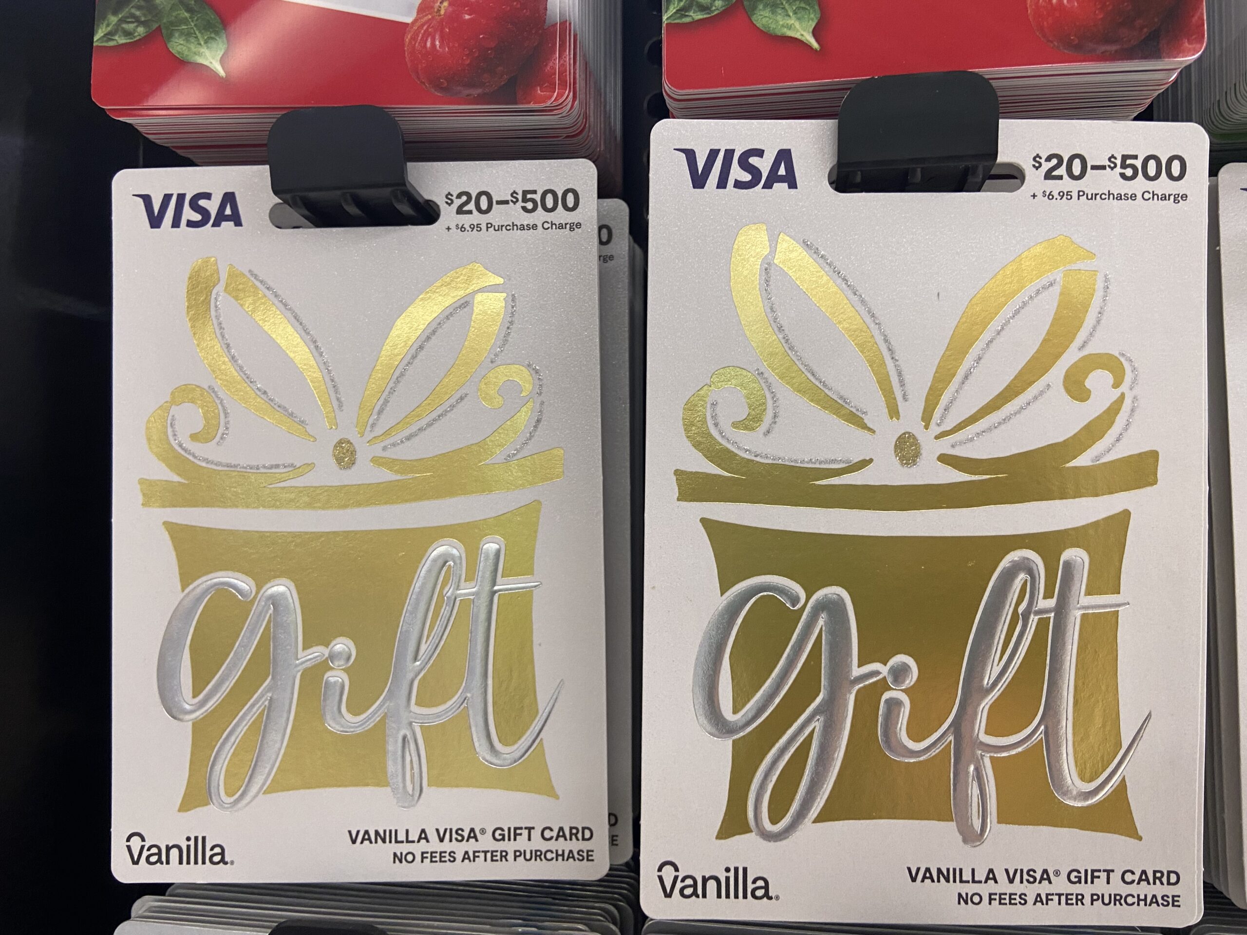 $200 Vanilla Visa Gift Card + $6.95 Fee